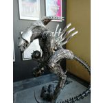 FOTOS AUS DIESEM HANDY