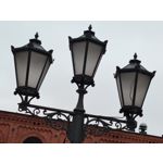 Pictures by this phone Honor Magic6 Lite 5G