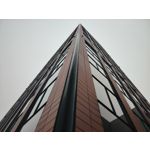 Pictures by this phone Honor Magic6 Lite 5G