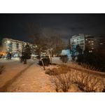 Pictures by this phone Honor Magic6 Lite 5G