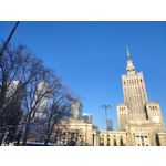 Pictures by this phone Honor Magic6 Lite 5G