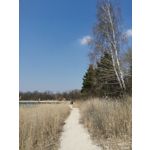 Fotos de usuários Honor View 20