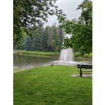 FOTO FATTE CON QUESTO TELEFONO