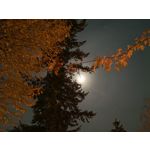 LAS FOTOS HECHAS CON ESTE TELÉFONO