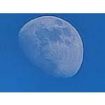 Les photos des utilisateurs Honor Magic6 Pro