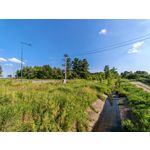 Les photos des utilisateurs Honor Magic6 Pro