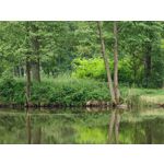 Les photos des utilisateurs Honor Magic6 Pro