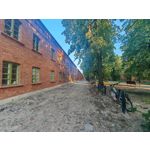 Les photos des utilisateurs Honor Magic6 Pro