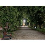 Les photos des utilisateurs Honor Magic6 Pro