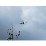 Les photos des utilisateurs Honor Magic6 Pro