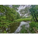 Les photos des utilisateurs Honor Magic6 Pro