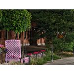 Les photos des utilisateurs Honor Magic6 Pro