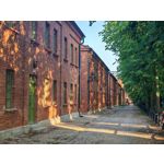 Les photos des utilisateurs Honor Magic6 Pro