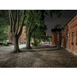 Les photos des utilisateurs Honor Magic6 Pro