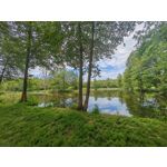 Les photos des utilisateurs Honor Magic6 Pro