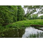 Les photos des utilisateurs Honor Magic6 Pro