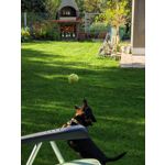 Les photos des utilisateurs Honor Magic6 Pro