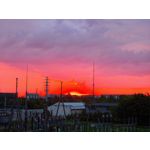 Les photos des utilisateurs Honor Magic6 Pro