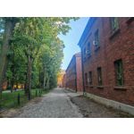 Les photos des utilisateurs Honor Magic6 Pro