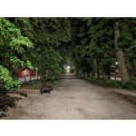 Les photos des utilisateurs Honor Magic6 Pro