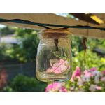 Les photos des utilisateurs Honor Magic6 Pro