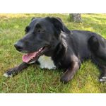 Les photos des utilisateurs Honor Magic6 Pro