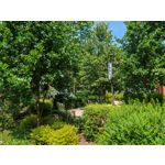 Les photos des utilisateurs Honor Magic6 Pro