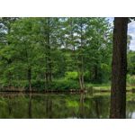 Les photos des utilisateurs Honor Magic6 Pro