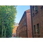 Les photos des utilisateurs Honor Magic6 Pro