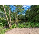 Les photos des utilisateurs Honor Magic6 Pro