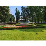 Les photos des utilisateurs Honor Magic6 Pro