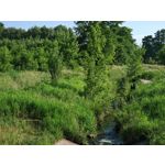 Les photos des utilisateurs Honor Magic6 Pro