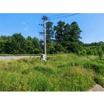 Les photos des utilisateurs Honor Magic6 Pro