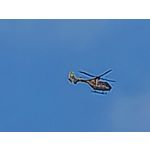 Les photos des utilisateurs Honor Magic6 Pro