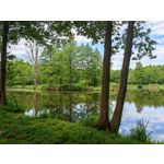 Les photos des utilisateurs Honor Magic6 Pro