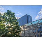 Les photos des utilisateurs Honor Magic6 Pro