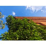 Les photos des utilisateurs Honor Magic6 Pro