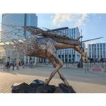 Les photos des utilisateurs Honor Magic6 Pro