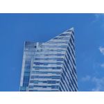 Les photos des utilisateurs Honor Magic6 Pro