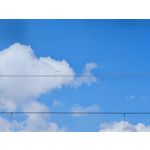 Les photos des utilisateurs Honor Magic6 Pro