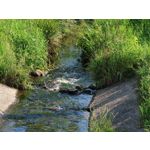 Les photos des utilisateurs Honor Magic6 Pro