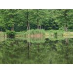 Les photos des utilisateurs Honor Magic6 Pro