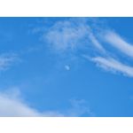 Les photos des utilisateurs Honor Magic6 Pro