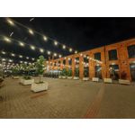 Les photos des utilisateurs Honor Magic6 Pro