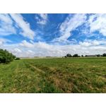 Les photos des utilisateurs Honor Magic6 Pro