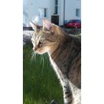 來自這款手機的圖片