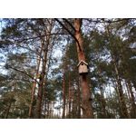 Фотографии пользователя HTC Desire 12 Dual SIM Фотографии пользователя HTC Desire 12 Dual SIM