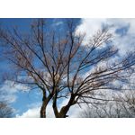 Фотографии пользователя HTC Desire 12 Dual SIM Фотографии пользователя HTC Desire 12 Dual SIM