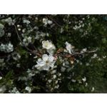 Фотографии пользователя HTC Desire 12 Dual SIM Фотографии пользователя HTC Desire 12 Dual SIM