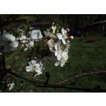 Фотографии пользователя HTC Desire 12 Dual SIM Фотографии пользователя HTC Desire 12 Dual SIM